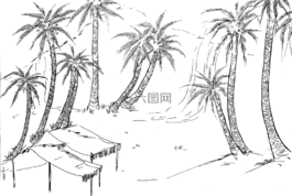 圣經(jīng),ccx,storying