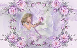玫瑰,欽佩