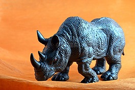 野生動(dòng)物,犀牛,玩具