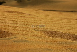 沙,砂礫,沙漠