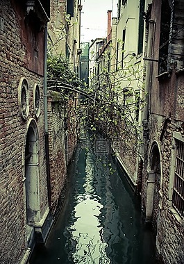 威尼斯,射擊,iphone6s
