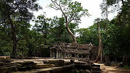 柬埔寨,寺,根