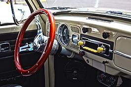 車,大眾汽車,甲蟲，昆蟲