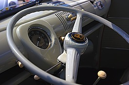 車,大眾汽車,甲蟲，昆蟲