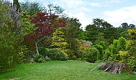 公园,parklandschaft,心情