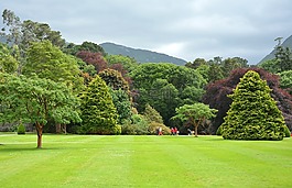 公园,parklandschaft,英语花园