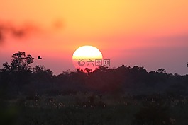 日落,非洲,晚上