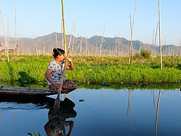 渔,茵莱湖,缅甸