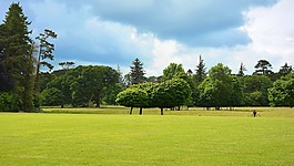 公园,parklandschaft,英语花园