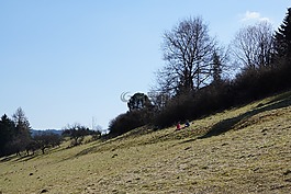 斜坡,草地,性质