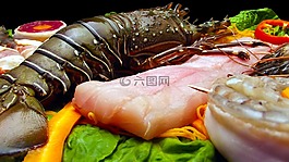 龍蝦,魚,蝦