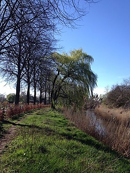 dommel 谷,春天,风