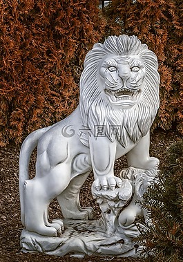 漢堡,獅子,貓