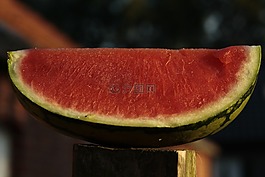 西瓜,瓜,水果
