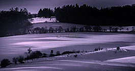 冬天,雪,寒冬