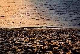 沙,背景,海灘