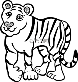 動物,貓,貓的