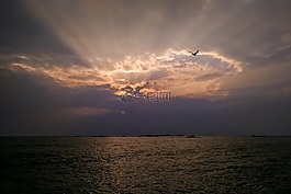 日落,海,晚上