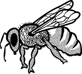 動物,蜜蜂,昆蟲