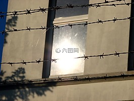 鐵絲網(wǎng),線,首頁