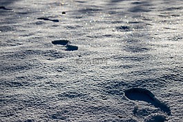 雪,腳印,冬天