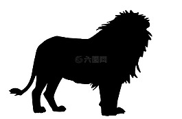 陰影,獅子,剪影