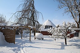 冬天,雪,冷