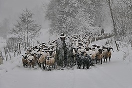 冬天,雪,冷