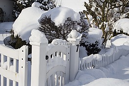 冬天,雪,冷