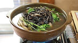 韓國食品,sarcodon蘑菇,sarcodon五百成熟