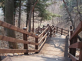 公園,樓梯,木材