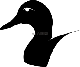 鳥(niǎo),輪廓,鴨