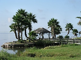 棕櫚樹,小屋,海洋