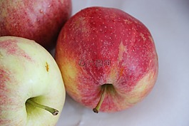 蘋果,新鮮,水果