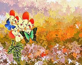 鮮花,背景,花的