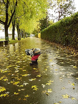 雨,十一月,秋