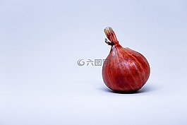 大蒜,白,背景