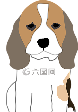 小獵犬,狗,第一