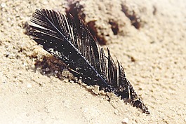 沙,海灘,湖