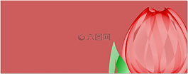 郁金香,旗幟,賀卡