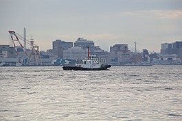 船,横滨湾,端口