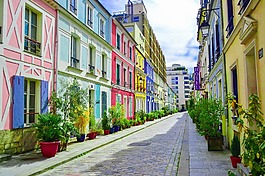 植物,allee,巴黎