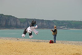 風(fēng)箏,海灘,貓