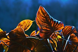 秋天的落葉,視覺作曲家,正北