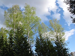 春天,藍(lán)色的天空,云