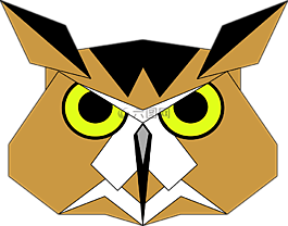 鳥,hoot,夜間