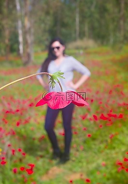 自然,戶外,花