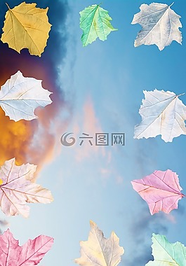 秋,框架,天空