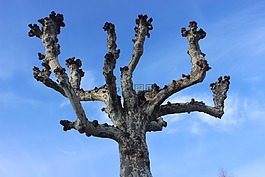 戶外,沒(méi)有人,天空