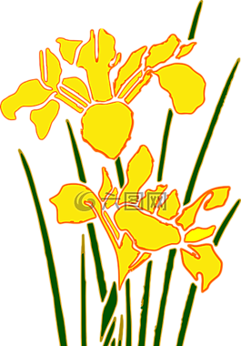 花,花園,鳶尾花